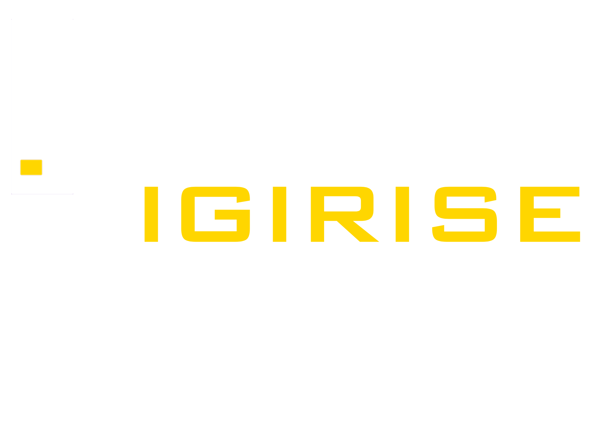 Digirise